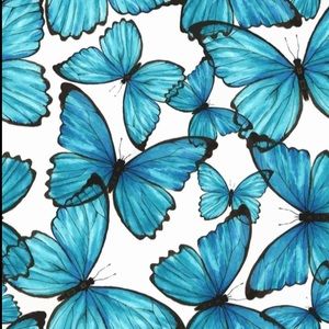 Meet your Posher, Shaunte